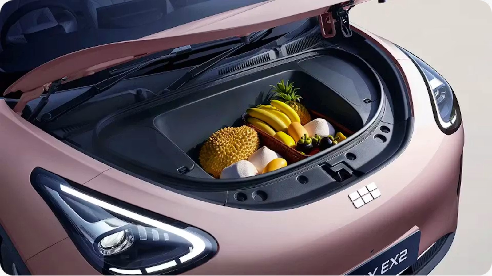 70L Large front trunk